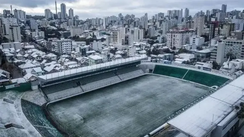 巴西咖啡產區遇寒潮霜凍危機！2024產量恐受衝擊