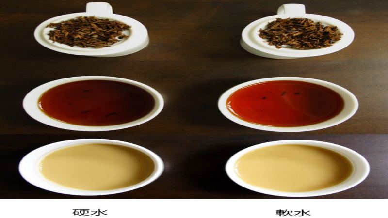 大吉嶺紅茶怎麼泡？6大關鍵技巧泡出香檳級茶湯