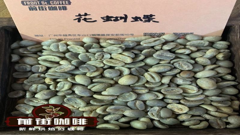 把握排氣期與香氣峯值：三款意式精品咖啡豆的風味輪換