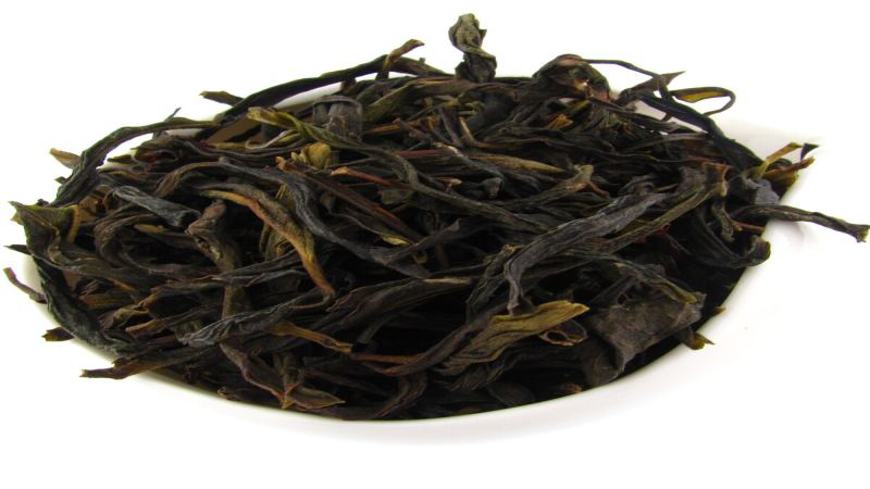 鴨屎香鳳凰單叢：毛茶 vs 精製茶 香氣與季節採摘風味全面比較