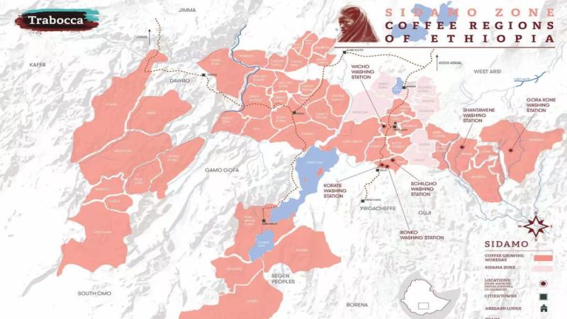 埃塞俄比亞西達摩咖啡豆：風味、處理法與烘焙技巧全解析