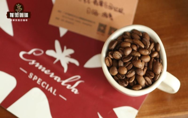 阿拉比卡的品種地圖：鐵皮卡、SL28與瑰夏的濃縮表現