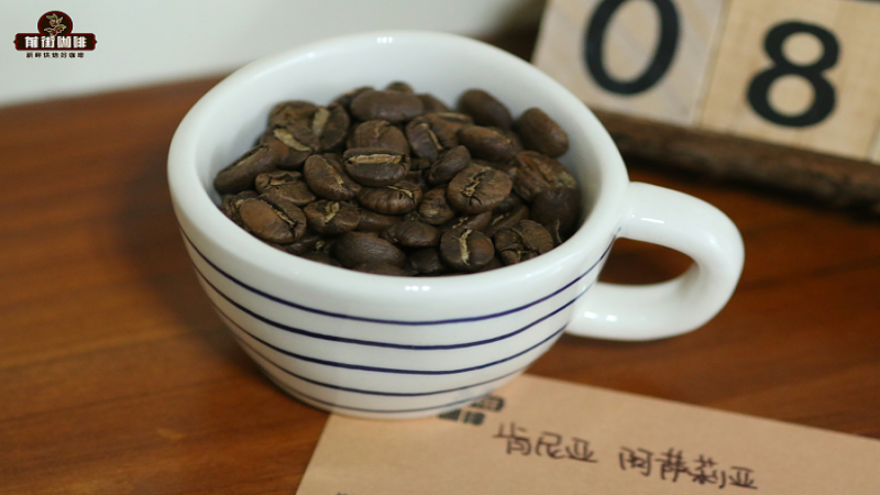 肯亞咖啡豆怎麼沖？SL28品種與K72處理法手沖參數完整解析
