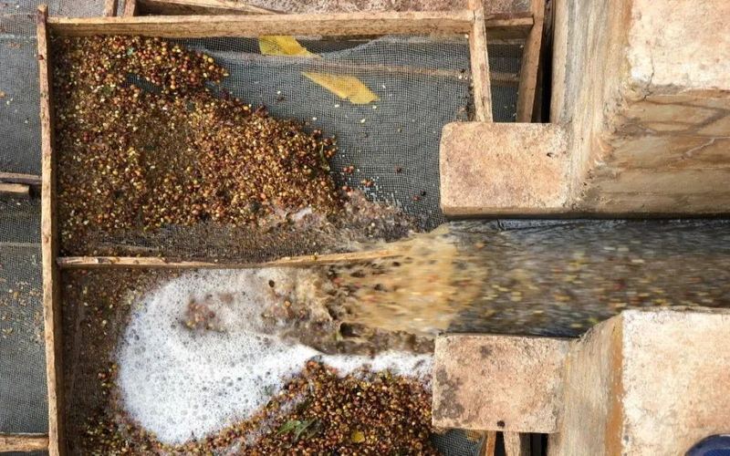 推薦冷萃咖啡豆：兼顧預算與飲用頻率