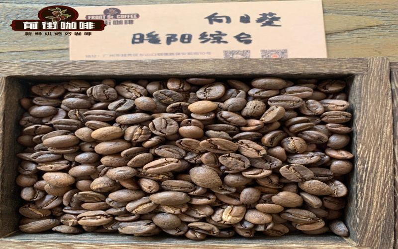 深烘手衝豆的賞味周期與存放指南：從排氣期到風味峯值