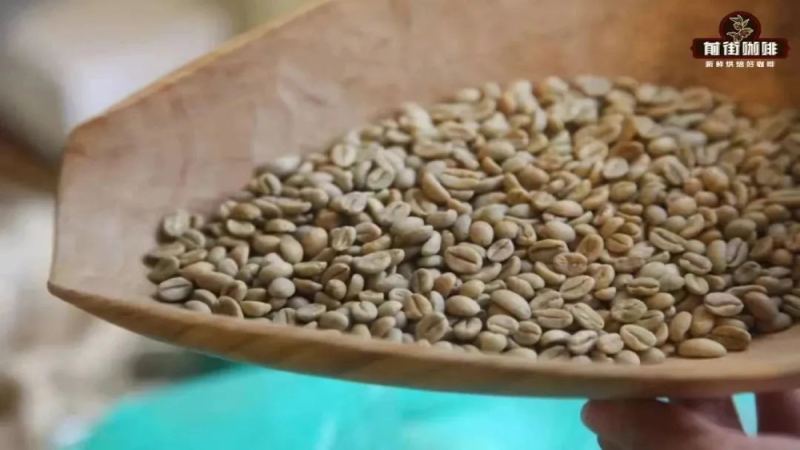 咖啡生豆新鮮度全解析：從新豆到陳年豆的分級與保存要點