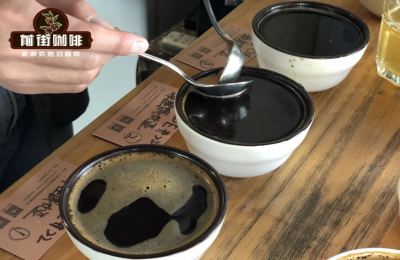 杯測啜吸