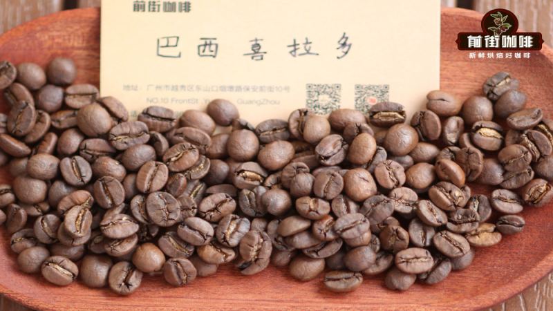 巴西咖啡百年演進：產區、處理法與風味全攻略｜咖啡豆推薦