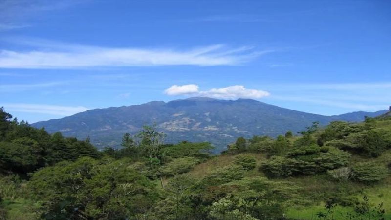 巴拿馬瑰夏風味揭秘：水洗花蝴蝶豆萃取參數與杯測體驗全解析