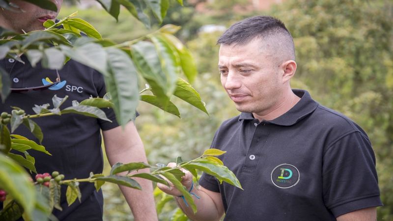 哥倫比亞櫻花咖啡豆怎麼沖？雙重厭氧水洗工藝與手沖參數全攻略
