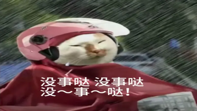 颱風天上海人照喝咖啡！貝碧嘉過後咖啡館現場直擊