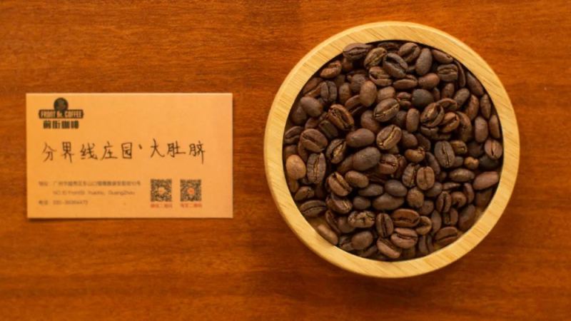 哥倫比亞大肚臍咖啡深度解析：品種由來、熱衝擊發酵技術與手沖建議