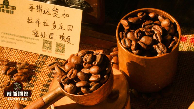 哥斯達黎加咖啡豆怎麼泡？蜜處理SHB手沖參數與藍莓風味解析