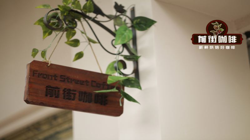 哥斯大黎加火鳳凰藍寶石SOE濃縮萃取全紀錄：淺焙意式豆的奶咖與單品調整指南