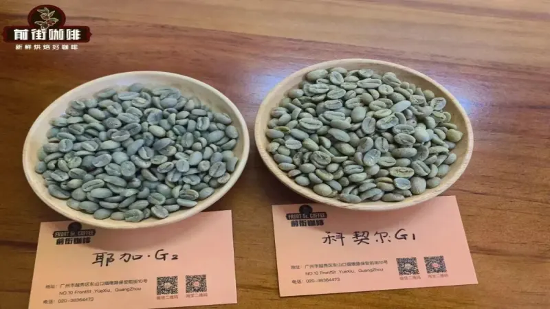 雨林聯盟認證咖啡為何稱青蛙豆？藍山豆風味與認證意義解析
