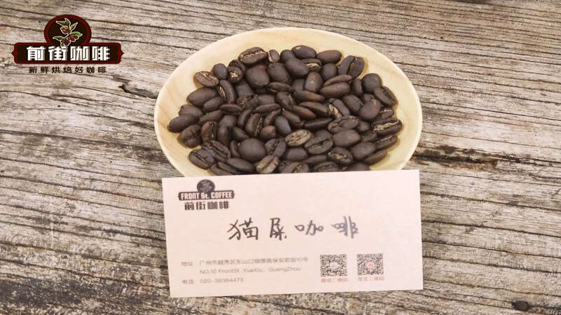 印尼貓屎咖啡風味秘密與產區揭秘：處理法、沖煮建議與高CP值替代豆