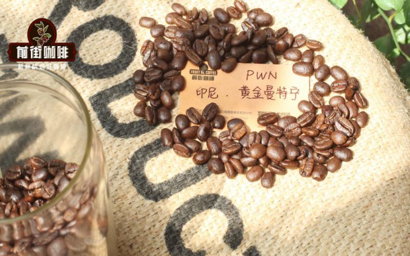 印尼黃金曼特寧咖啡豆產地風味解析：等級標準、溼刨工藝與前街PWN選品