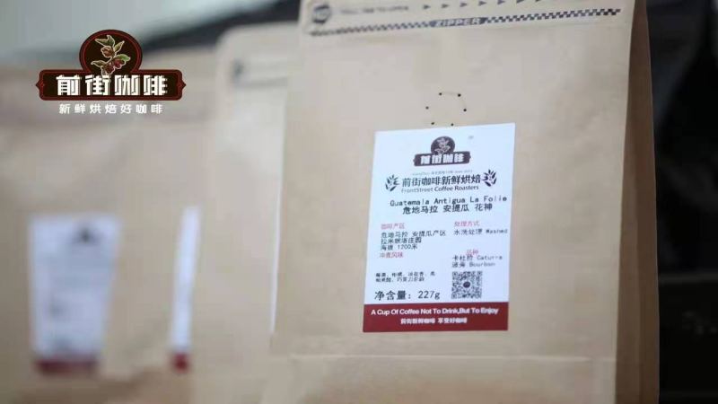 危地馬拉安提瓜花神咖啡全解析：風味、處理與手沖參數一次掌握