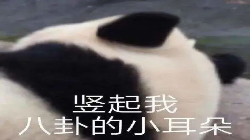 咖啡廳留客關鍵：5位常客談服務細節與咖啡體驗心得