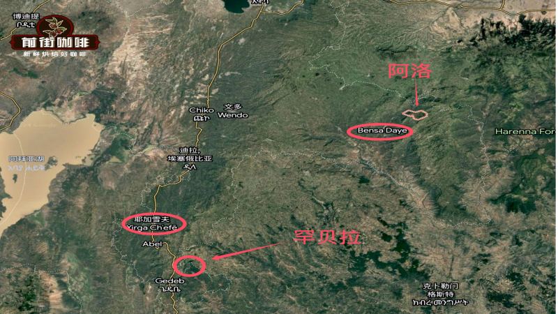 埃塞俄比亞西達摩Alo村高海拔咖啡：花香日曬豆的產地與沖煮秘訣