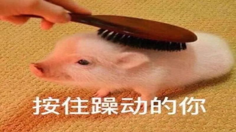 咖啡店加盟費用全解析：品牌選擇與初期投資成本指南