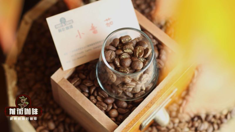 肯亞咖啡為何酸質鮮明？產地、處理與沖煮全攻略