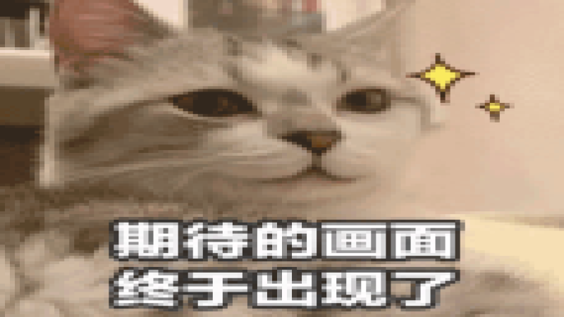 哈利波特×奈雪聯名飲品掀爭議！學院杯周邊盲盒分配不公引粉絲不滿