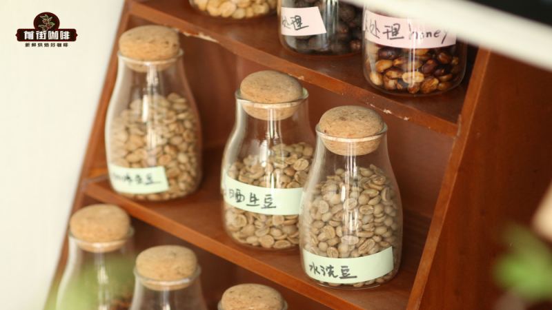 牙買加藍山咖啡等級、價格與風味全解析｜藍山一號手沖參數