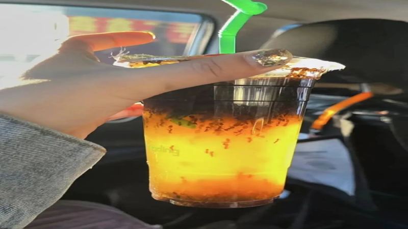 外送咖啡驚見螞蟻！商家辯稱取錯餐，外帶飲品衛生怎麼顧？