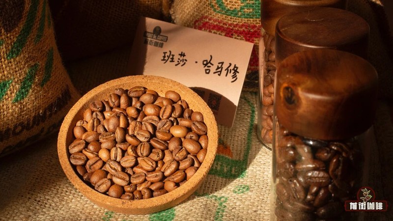 推薦適合家庭使用的意式拼配豆：兼顧預算與飲用頻率