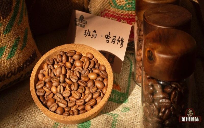 推薦適合家庭使用的意式拼配豆：兼顧預算與飲用頻率