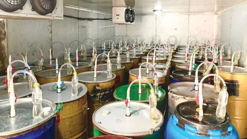 厭氧發酵咖啡處理法解析：風味差異與三大工藝詳解