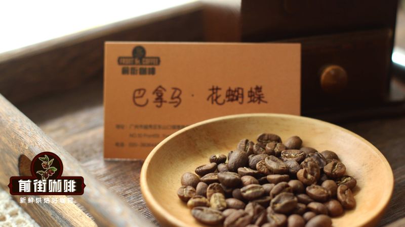巴拿馬波奎特花蝴蝶瑰夏拼配豆解析：單品還是拼配？風味與沖煮全攻略
