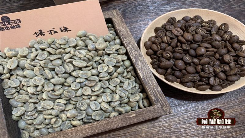 哥斯達黎加塔拉珠咖啡手沖全攻略：產區特色、品種解析與最佳萃取參數