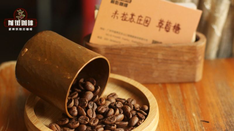 手衝咖啡衝煮用水｜能用冰水做手衝冰咖啡嗎？氣泡水蘇打水可以製作手衝黑咖啡嗎？