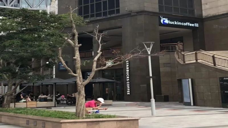 瑞幸緊鄰星巴克開店！平價咖啡如何靠商圈策略突圍？