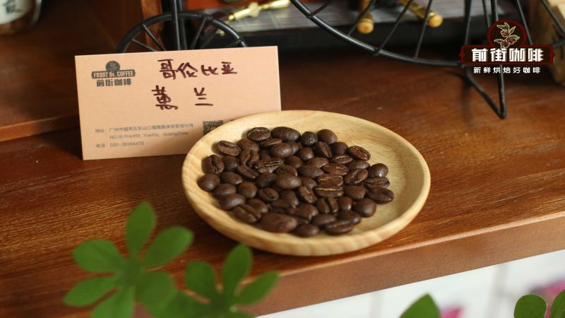 哥倫比亞咖啡產區與風味解析：從蕙蘭水洗到希爪特殊處理的沖煮指南