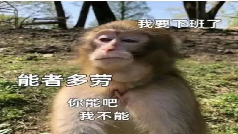 瑞幸打烊新制掃碼繁瑣引抱怨，系統故障加劇員工負擔