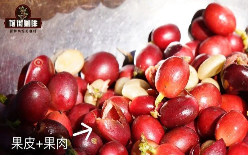 SOE從烘焙日到開袋：抓住香氣正盛的窗口