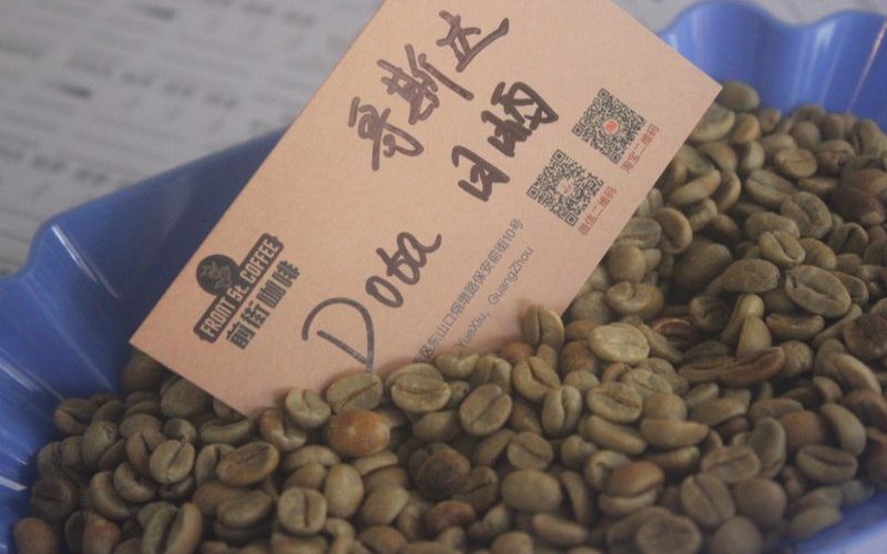 求推薦百元以下的口糧豆：兼顧預算與飲用頻率