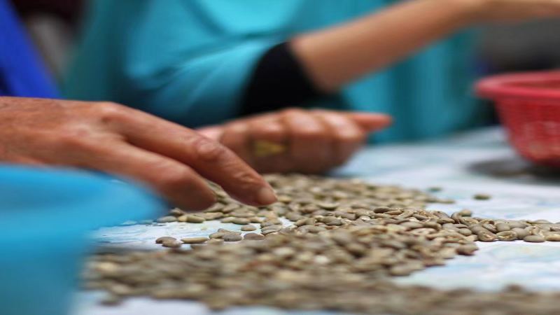 曼特寧咖啡豆故事｜正宗PWN黃金曼特寧與印尼曼特寧有哪些口感風味區別？蘇門答臘曼特寧適合做手衝咖啡嗎？