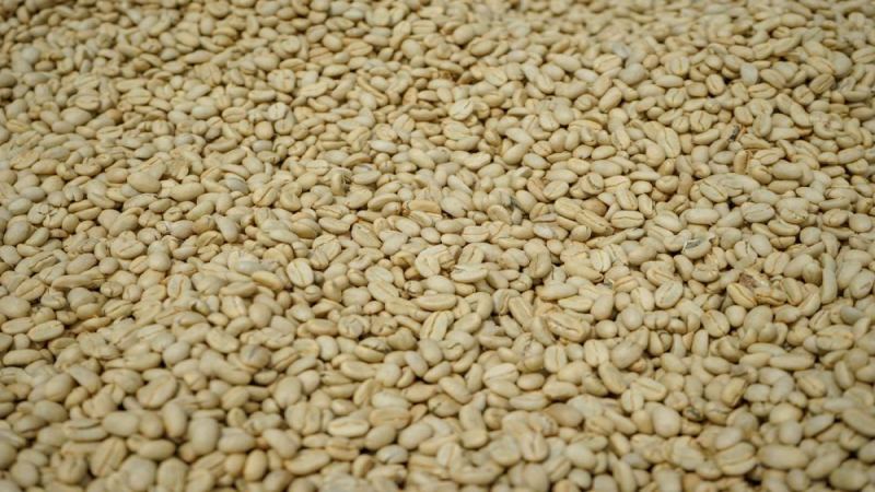 耶加雪菲日曬豆怎麼泡？冷萃咖啡參數與產區風味全解析