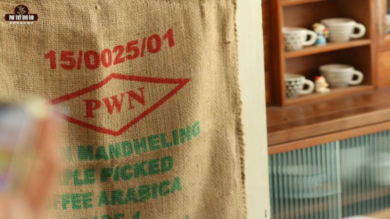 深烘焙單品豆推薦｜印尼PWN黃金曼特寧產地品質風味口感如何？黃金曼特寧咖啡豆怎麼衝煮才好喝不苦？