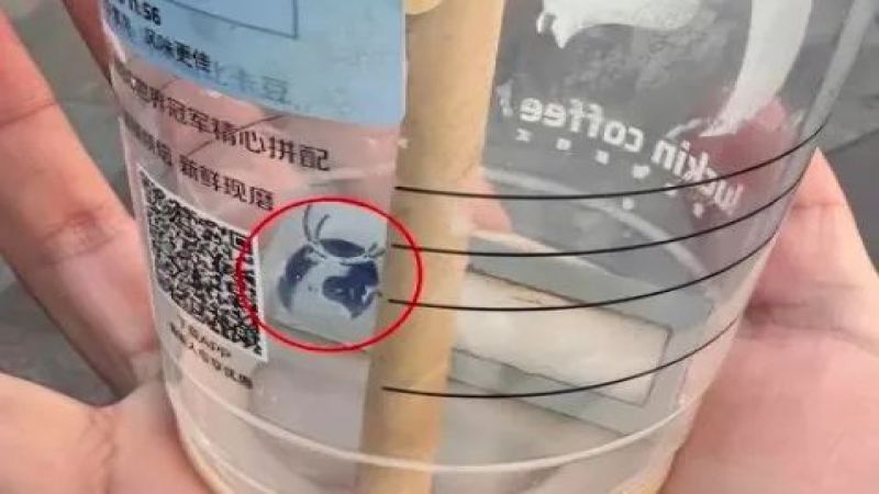 瑞幸新工牌玩梗大觀：員工英文名創意全收錄與命名注意事項