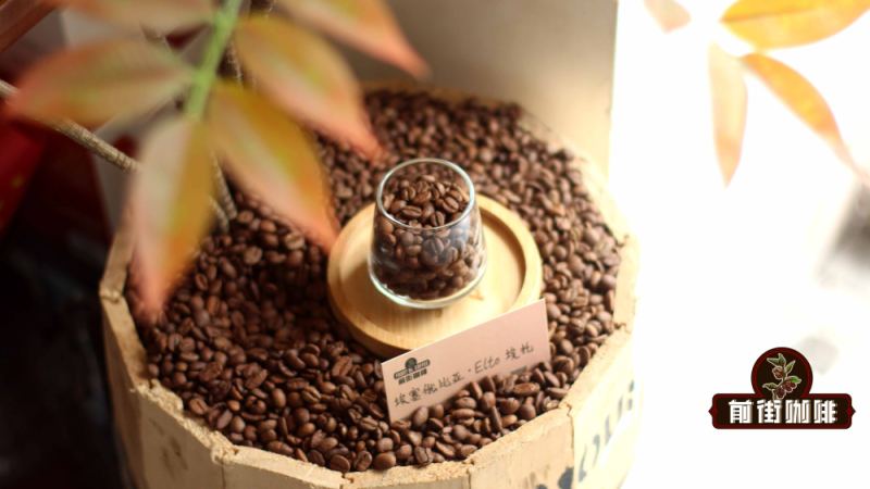 肯尼亞PB圓豆解析｜K72水洗與八級分級帶來的獨特風味