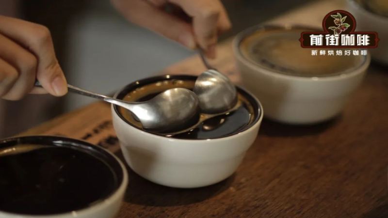 SCAA杯測評分全解析：10大維度教你評鑑精品咖啡風味