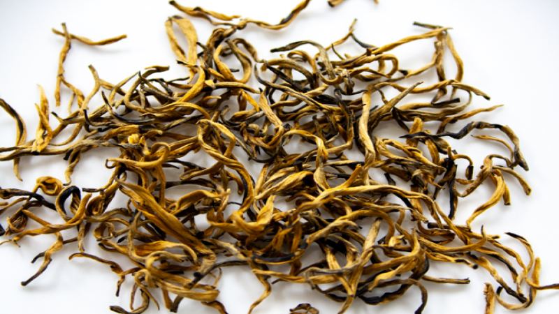 滇紅金芽呈金色的秘密｜金芽比例高茶品一定更好嗎？