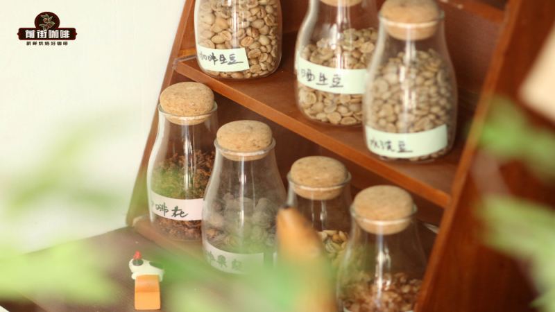 意式濃縮咖啡品鑑指南：從萃取標準到正宗喝法的專業解讀