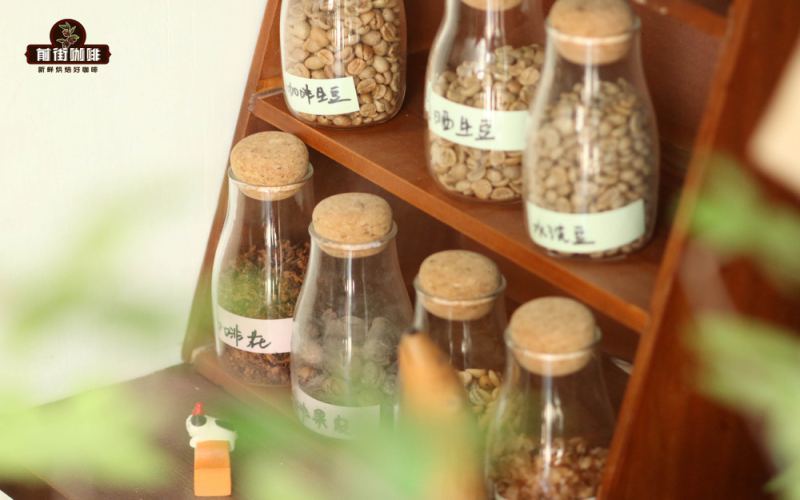 意式濃縮咖啡品鑑指南：從萃取標準到正宗喝法的專業解讀