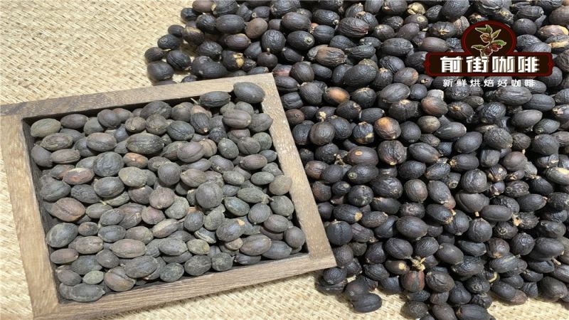 雲南咖啡深度品鑑：產區風土、處理工藝與手沖潛力全解析